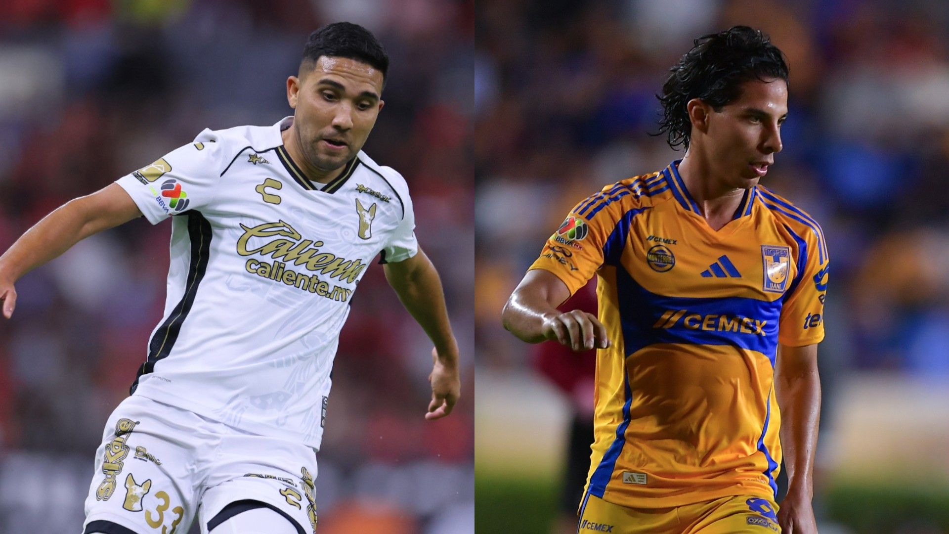 Ver EN VIVO ONLINE: Xolos de Tijuana vs Tigres, por el Apertura 2024 de